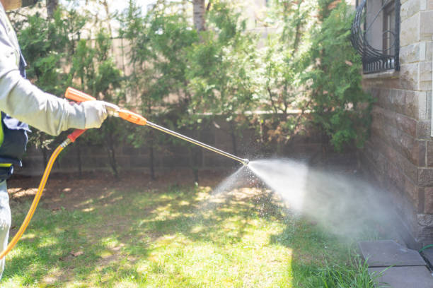 Best Best Pest Control Companies  in Albany, KY